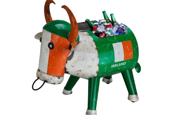 ireland-bruce-the-bull.jpg